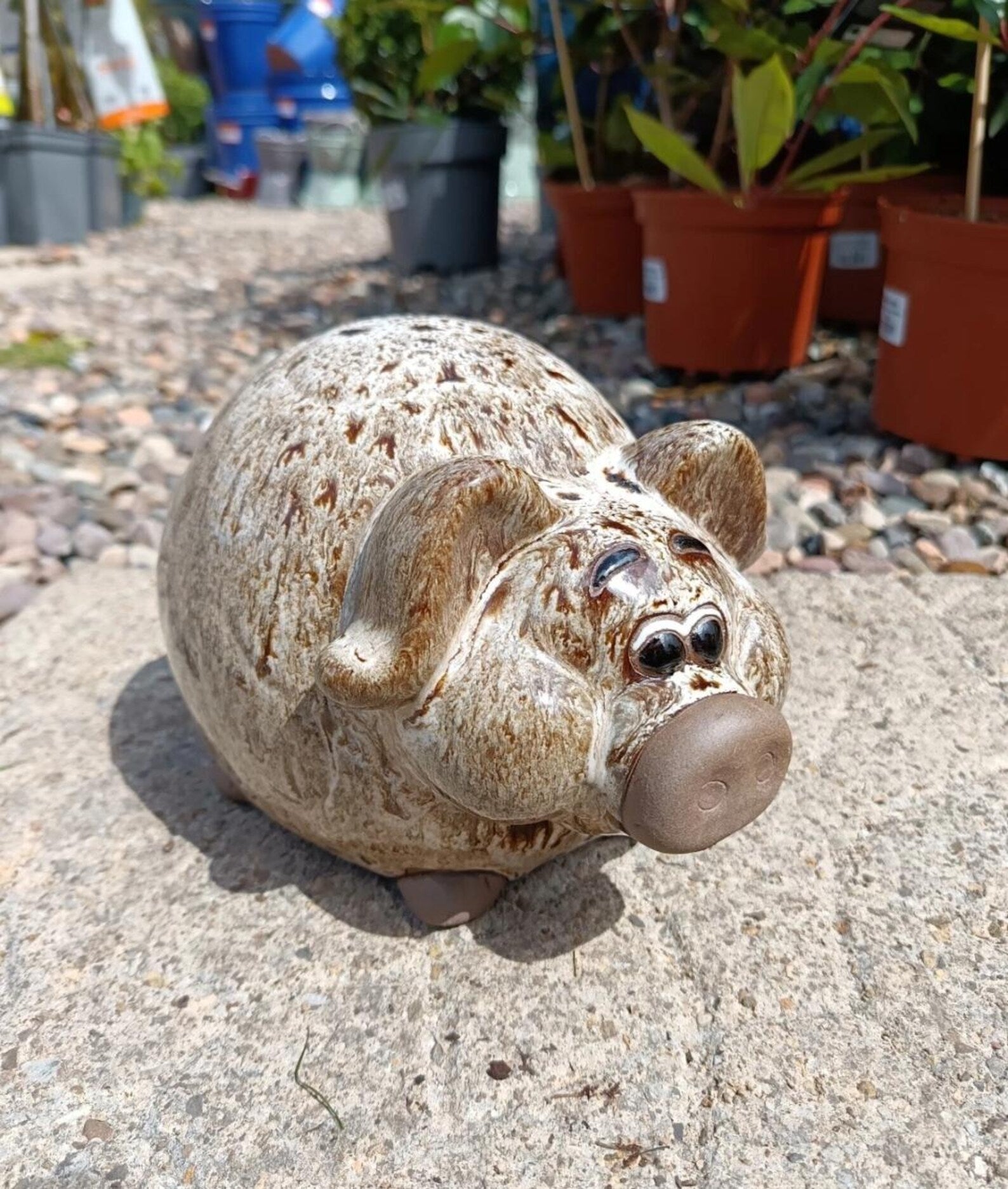 Pedro The Pig Ceramic Garden Ornament
